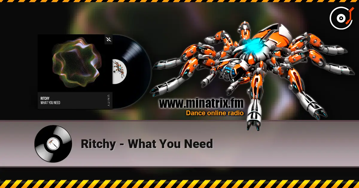 Ritchy - What You Need 高品质在线收听 | Minatrix.FM