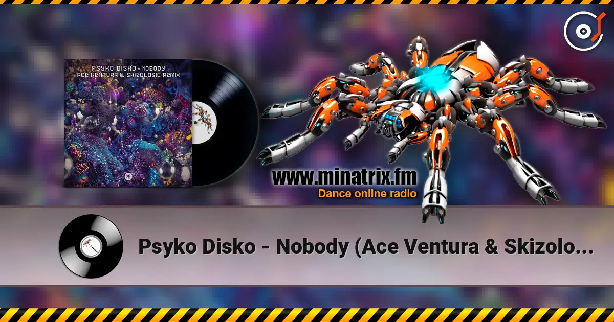 Psyko Disko - Nobody (Ace Ventura & Skizologic Remix) 高品质在线收听 | Minatrix.FM