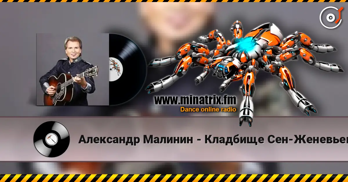 Александр Малинин - Кладбище Сен-Женевьев-Де-Буа 高品质在线收听 | Minatrix.FM