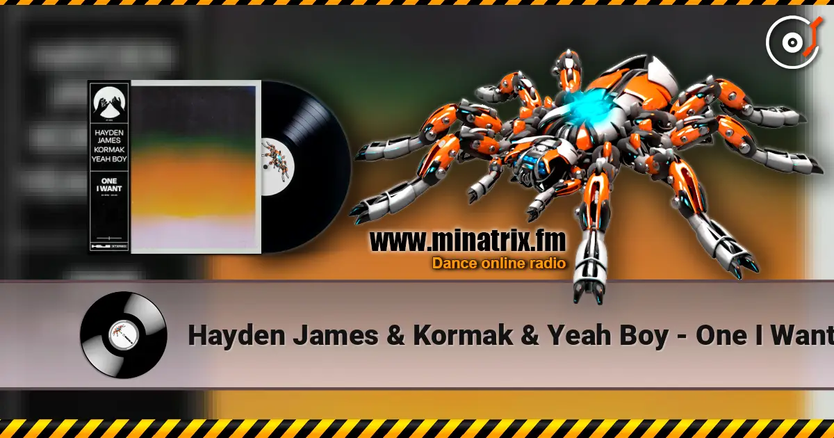 Hayden James & Kormak & Yeah Boy - One I Want 高品质在线收听 | Minatrix.FM