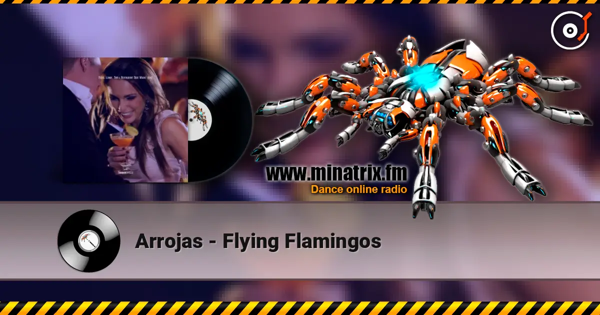 Arrojas - Flying Flamingos 高品质在线收听 | Minatrix.FM