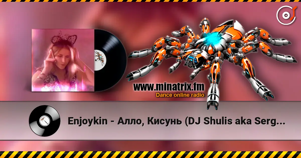 Enjoykin - Алло, Кисунь (DJ Shulis aka Sergey Remix) 高品质在线收听 | Minatrix.FM