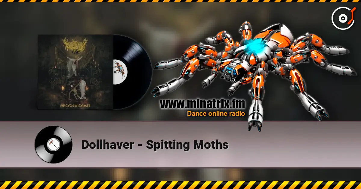 Dollhaver - Spitting Moths 高品质在线收听 | Minatrix.FM