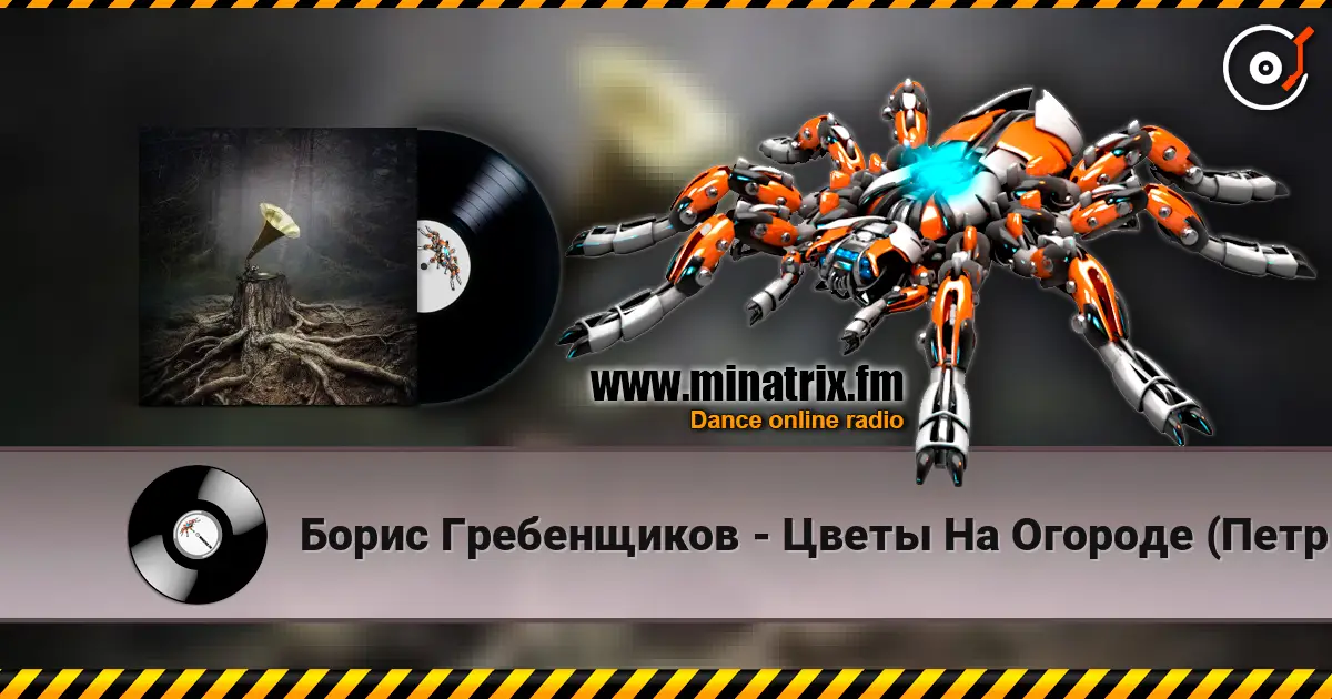 Борис Гребенщиков - Цветы На Огороде (Петр Мамонов) 高品质在线收听 | Minatrix.FM