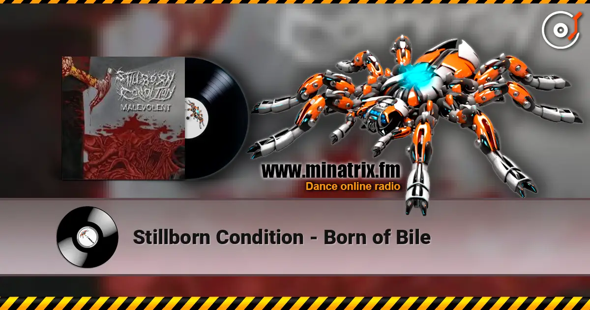 Stillborn Condition - Born of Bile 高品质在线收听 | Minatrix.FM