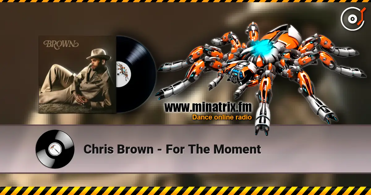 Chris Brown - For The Moment 高品质在线收听 | Minatrix.FM