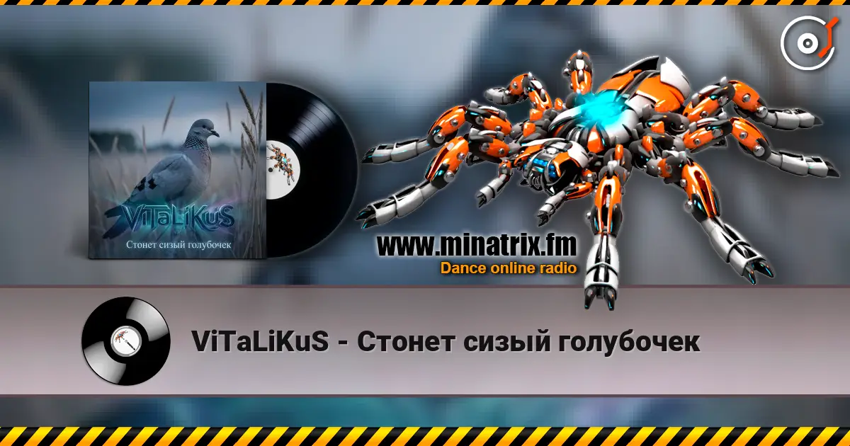ViTaLiKuS - Стонет сизый голубочек 高品质在线收听 | Minatrix.FM