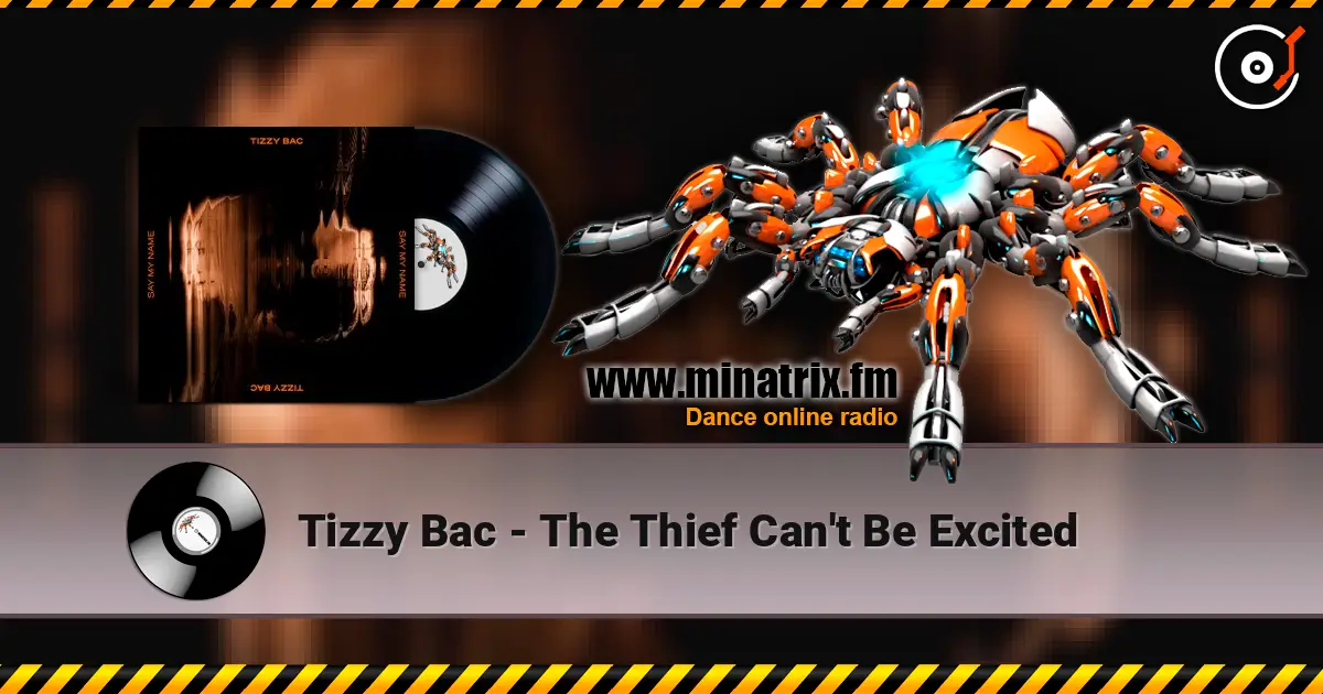 Tizzy Bac - The Thief Can't Be Excited 高品质在线收听 | Minatrix.FM