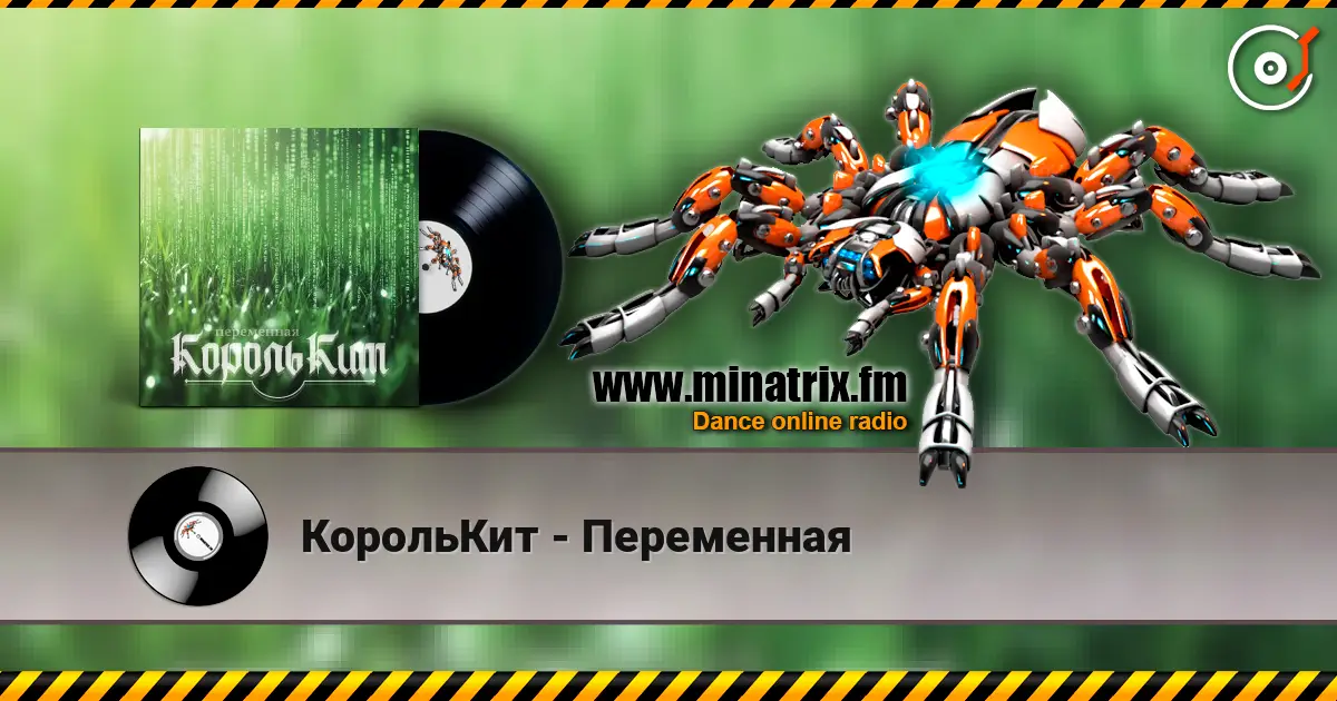 КорольКит - Переменная 高品质在线收听 | Minatrix.FM