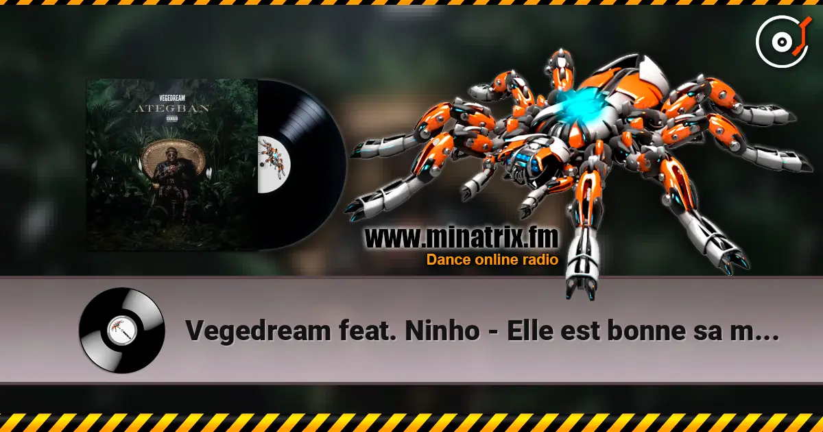 Vegedream feat. Ninho - Elle est bonne sa mère 高品质在线收听 | Minatrix.FM