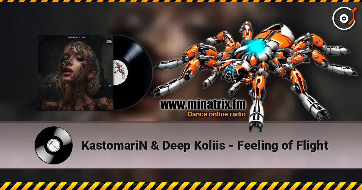 KastomariN & Deep Koliis - Feeling of Flight 高品质在线收听 | Minatrix.FM