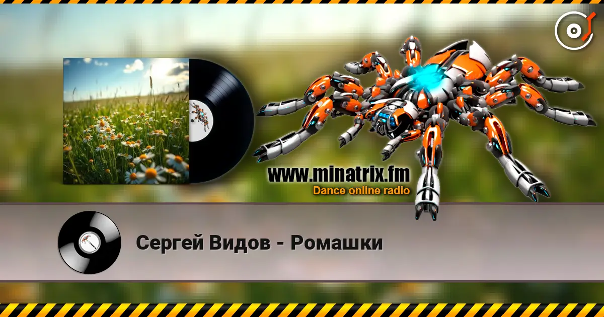 Сергей Видов - Ромашки 高品质在线收听 | Minatrix.FM
