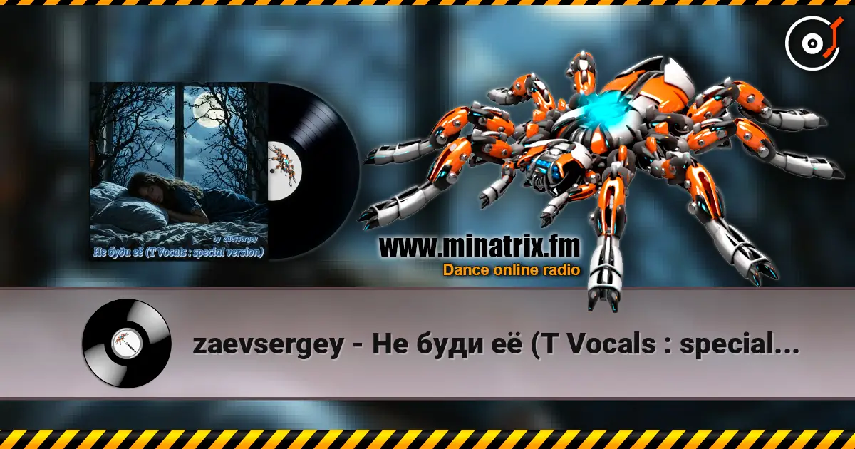 zaevsergey - Не буди её (T Vocals : special version) 高品质在线收听 | Minatrix.FM