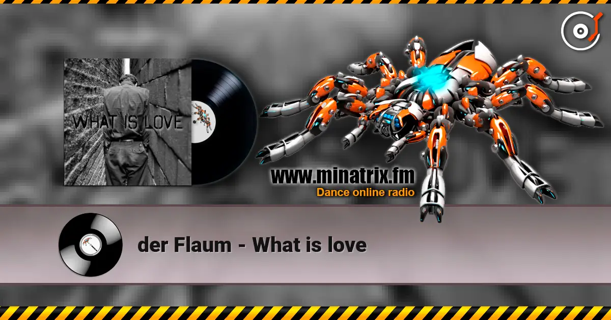 der Flaum - What is love 高品质在线收听 | Minatrix.FM