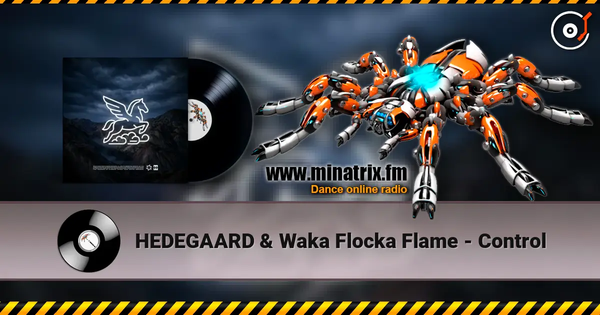 HEDEGAARD & Waka Flocka Flame - Control 高品质在线收听 | Minatrix.FM