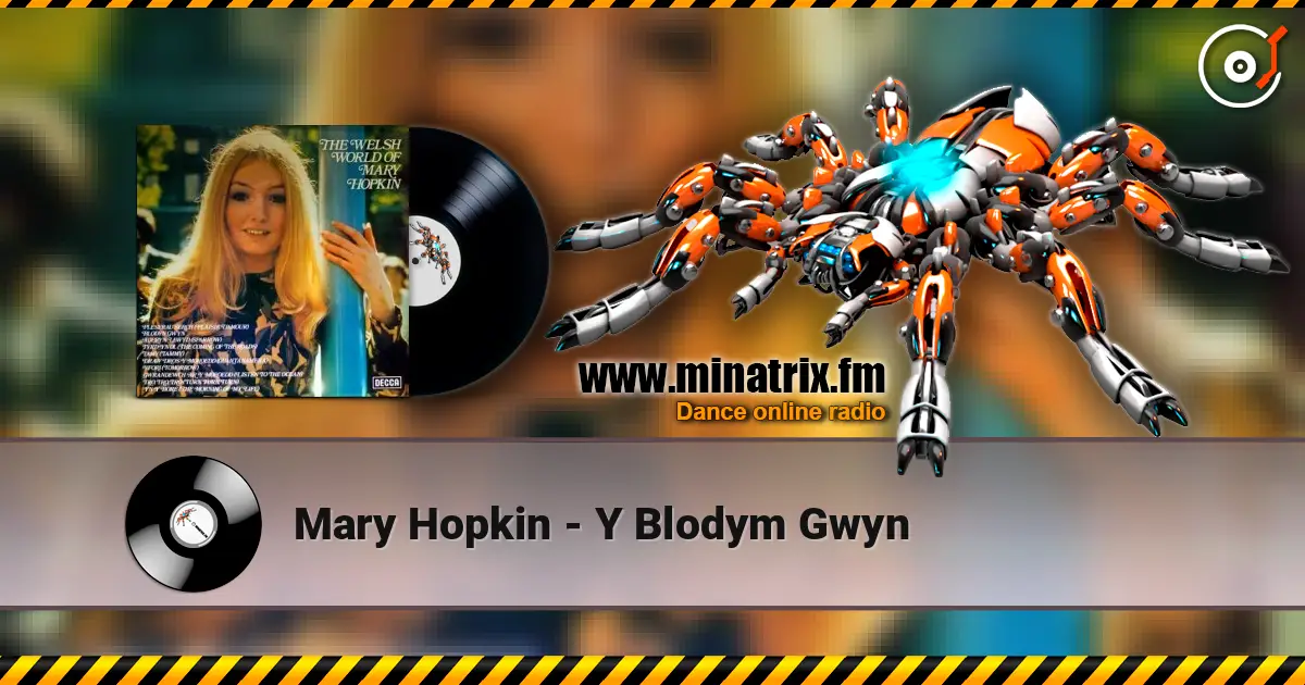 Mary Hopkin - Y Blodym Gwyn 高品质在线收听 | Minatrix.FM