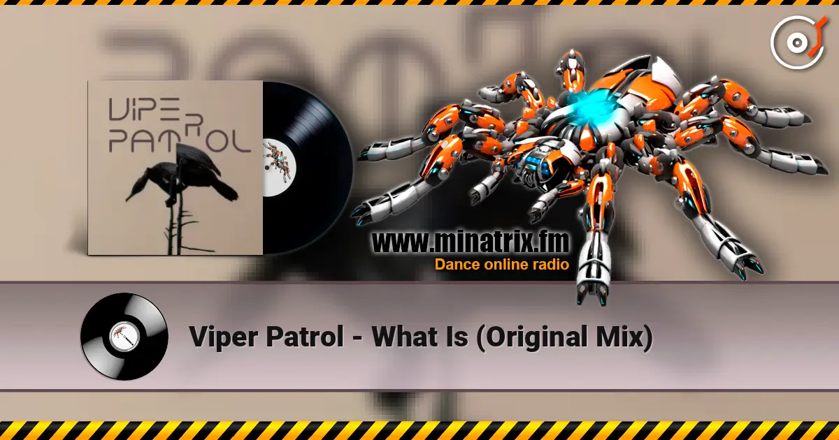 Viper Patrol - What Is (Original Mix) 高品质在线收听 | Minatrix.FM