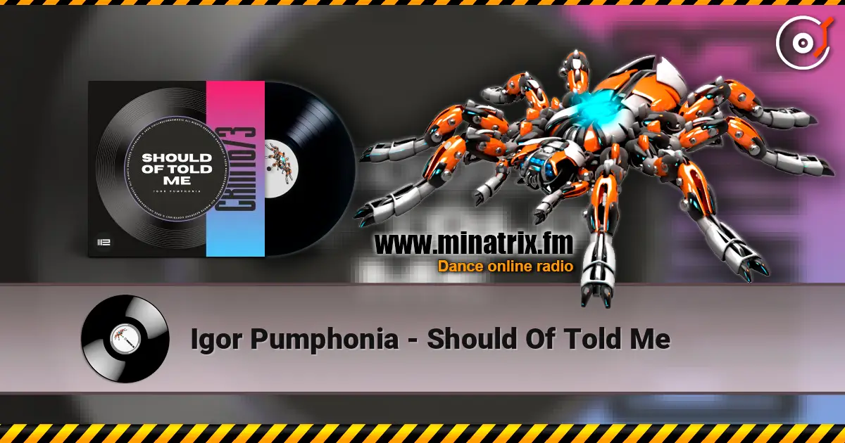 Igor Pumphonia - Should Of Told Me 高品质在线收听 | Minatrix.FM