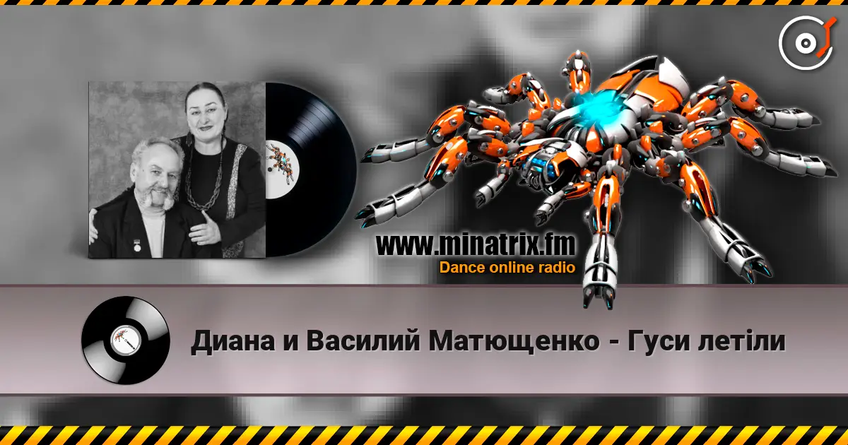 Диана и Василий Матющенко - Гуси летiли 高品质在线收听 | Minatrix.FM
