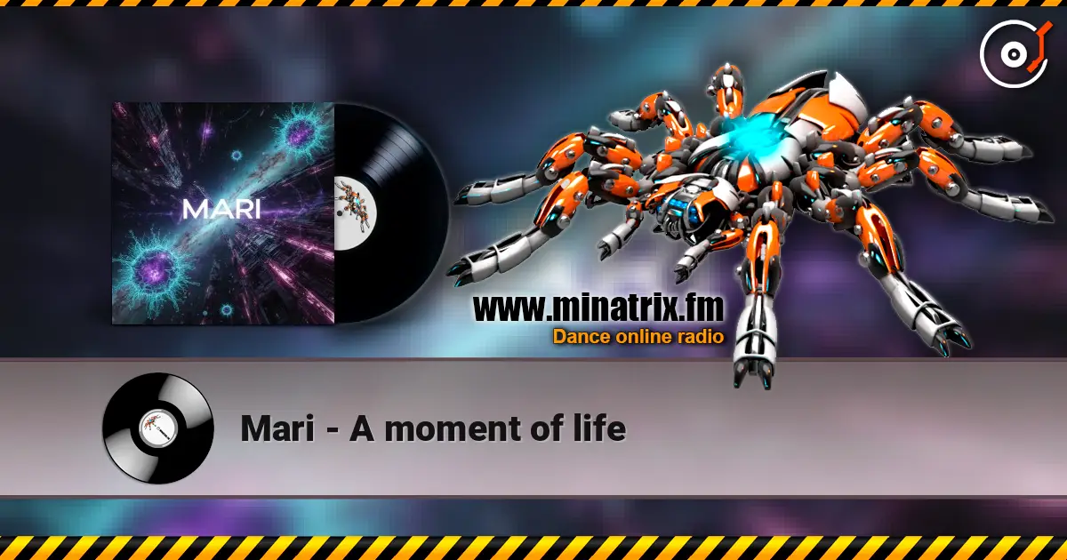 Mari - A moment of life 高品质在线收听 | Minatrix.FM