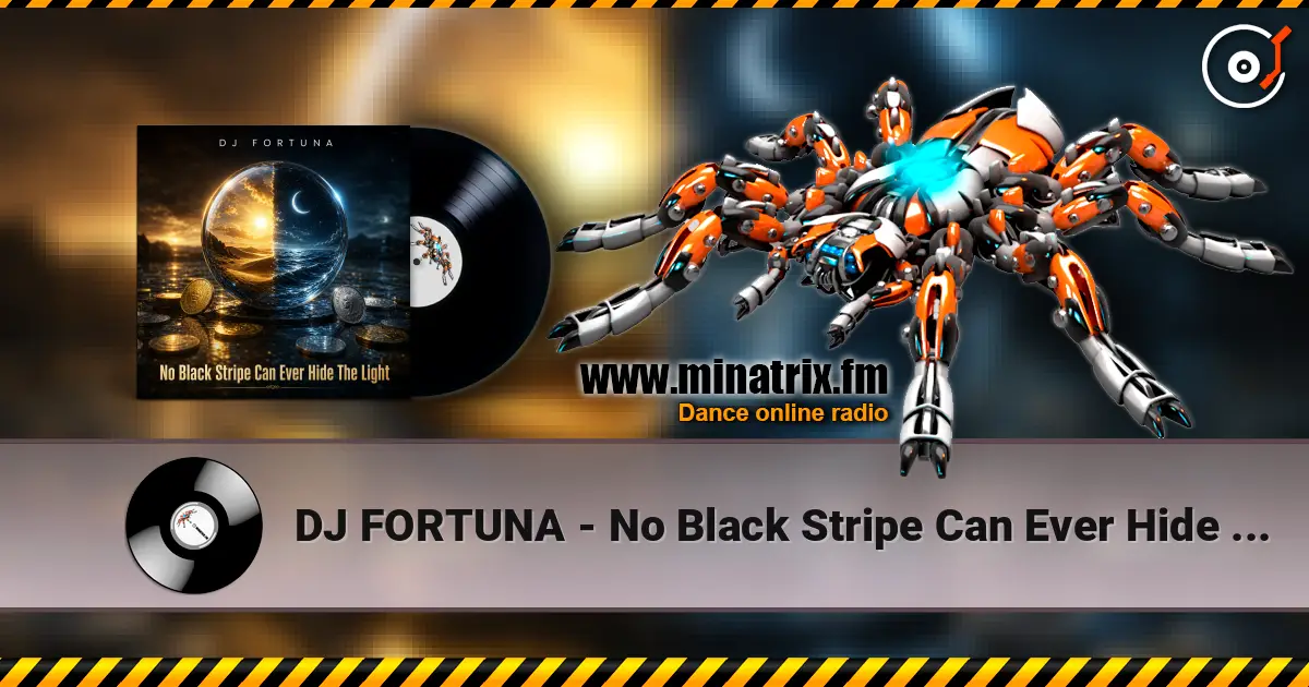 DJ FORTUNA - No Black Stripe Can Ever Hide The Light 高品质在线收听 | Minatrix.FM