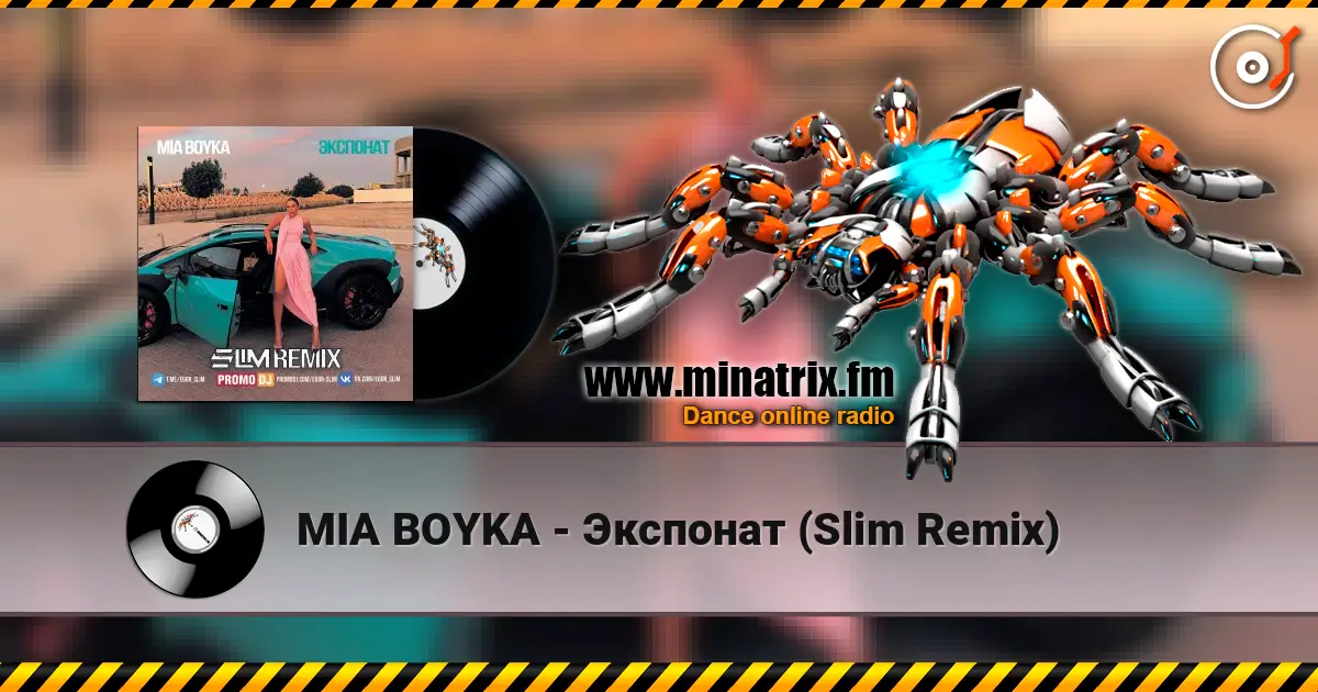 MIA BOYKA - Экспонат (Slim Remix) 高品质在线收听 | Minatrix.FM