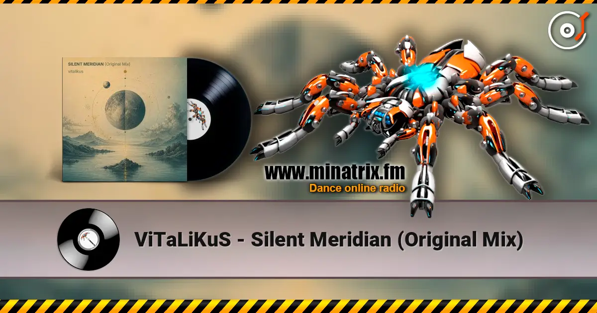 ViTaLiKuS - Silent Meridian (Original Mix) 高品质在线收听 | Minatrix.FM