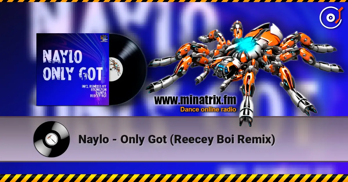 Naylo - Only Got (Reecey Boi Remix) 高品质在线收听 | Minatrix.FM