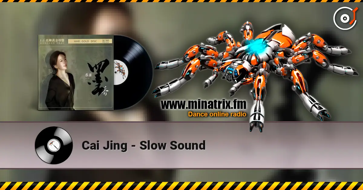 Cai Jing - Slow Sound 高品质在线收听 | Minatrix.FM