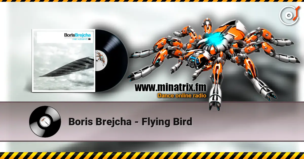 Boris Brejcha - Flying Bird 高品质在线收听 | Minatrix.FM