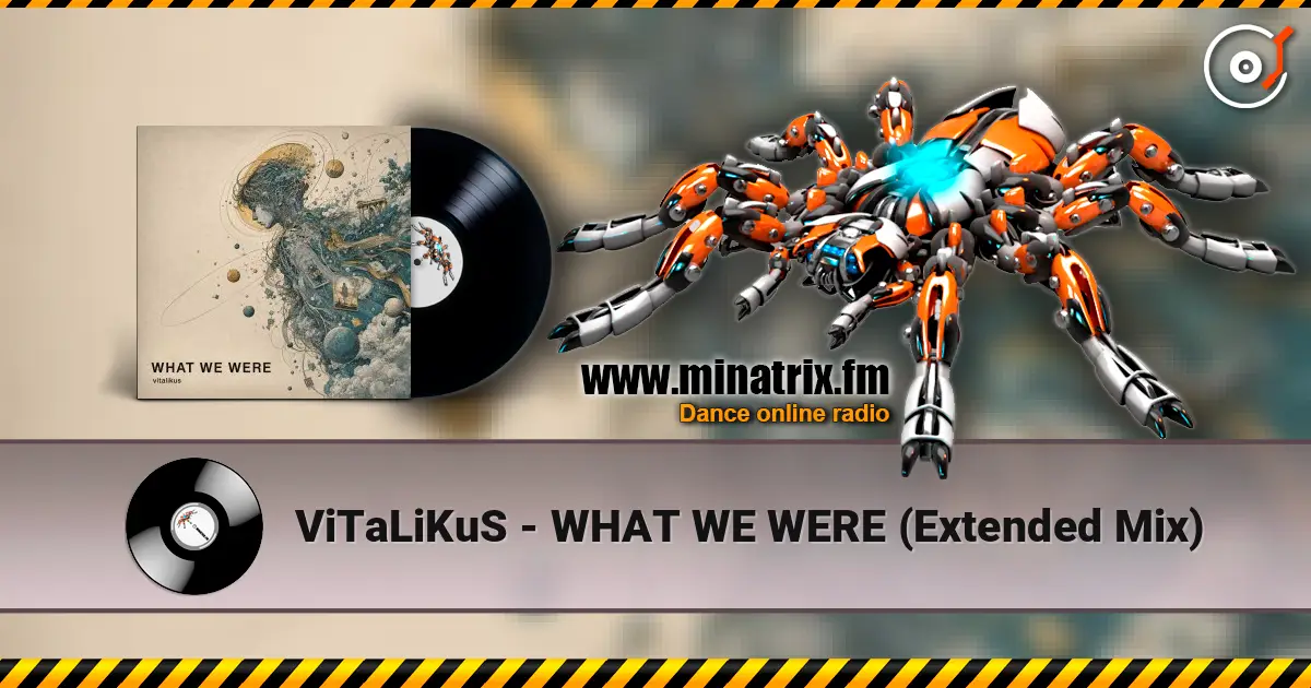 ViTaLiKuS - WHAT WE WERE (Extended Mix) 高品质在线收听 | Minatrix.FM