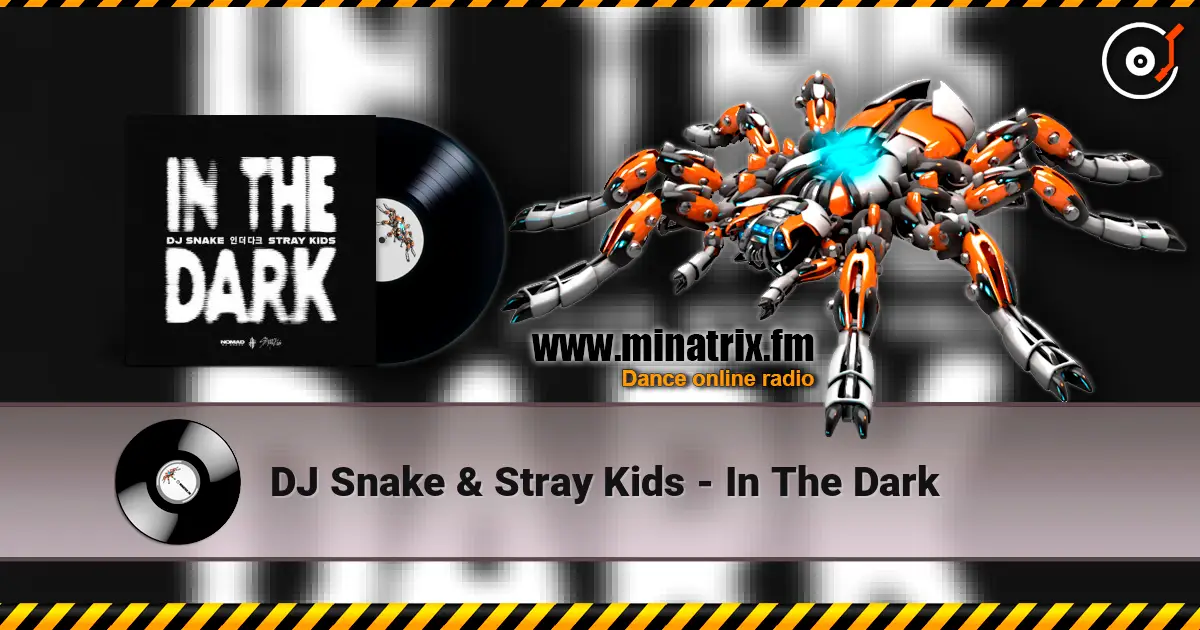 DJ Snake & Stray Kids - In The Dark 高品质在线收听 | Minatrix.FM