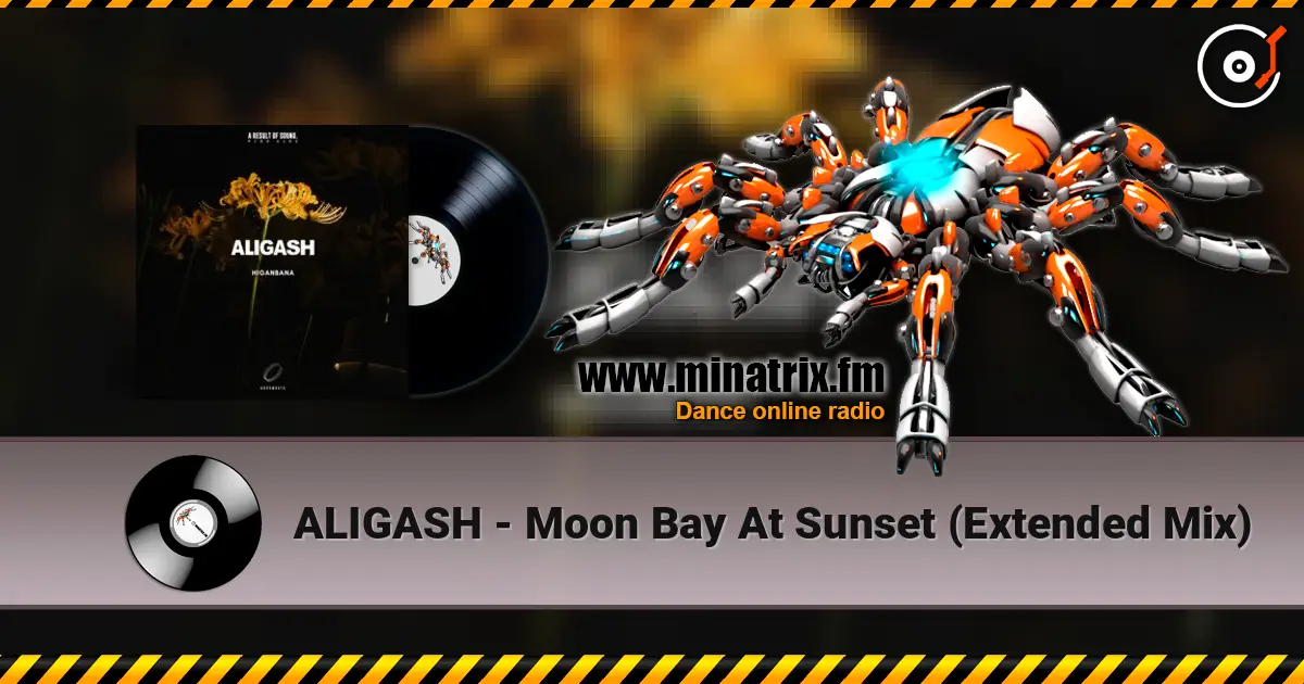 ALIGASH - Moon Bay At Sunset (Extended Mix) 高品质在线收听 | Minatrix.FM
