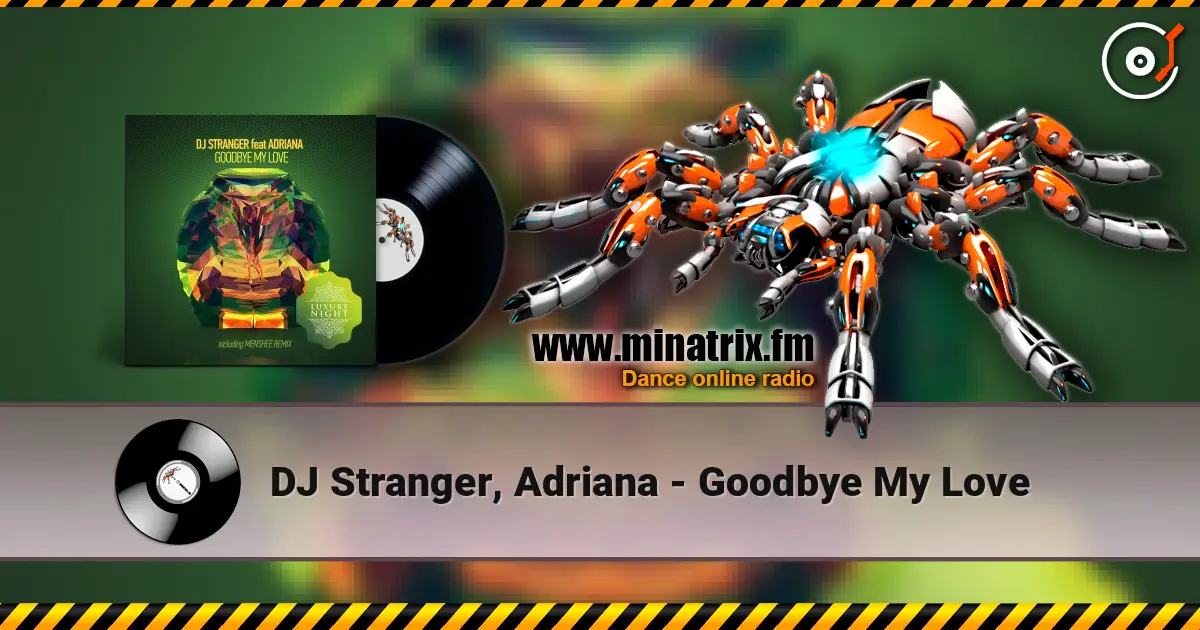 DJ Stranger, Adriana - Goodbye My Love 高品质在线收听 | Minatrix.FM