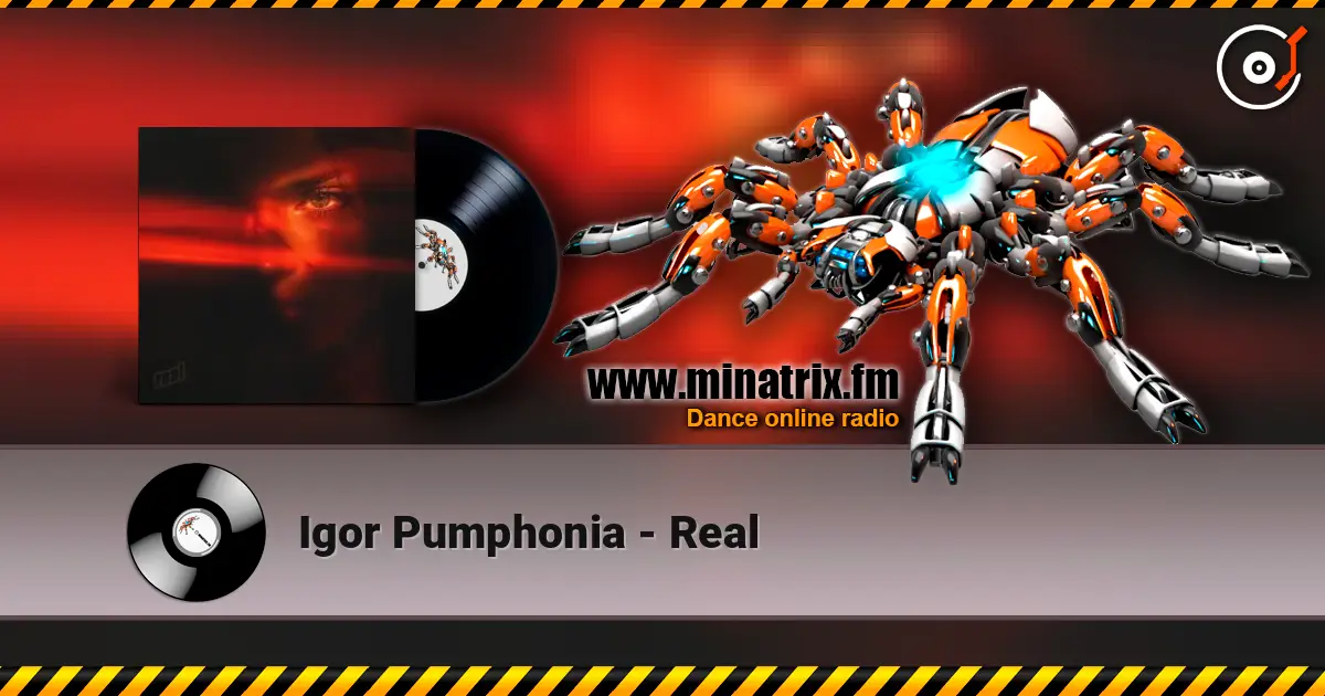 Igor Pumphonia - Real 高品质在线收听 | Minatrix.FM