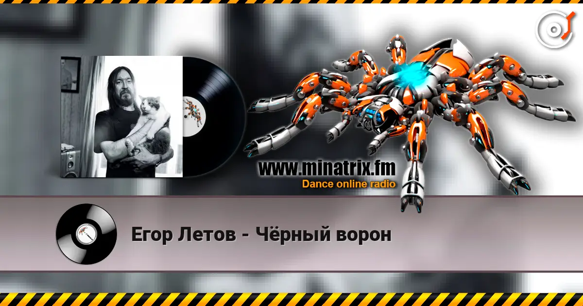 Егор Летов - Чёрный ворон 高品质在线收听 | Minatrix.FM