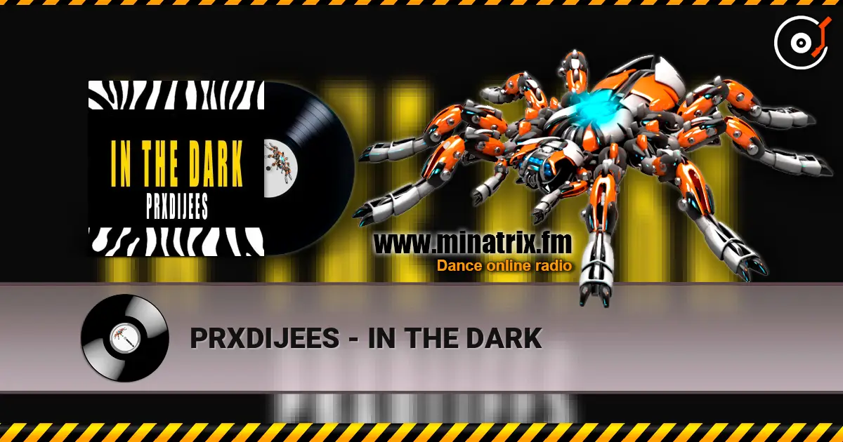 PRXDIJEES - IN THE DARK 高品质在线收听 | Minatrix.FM