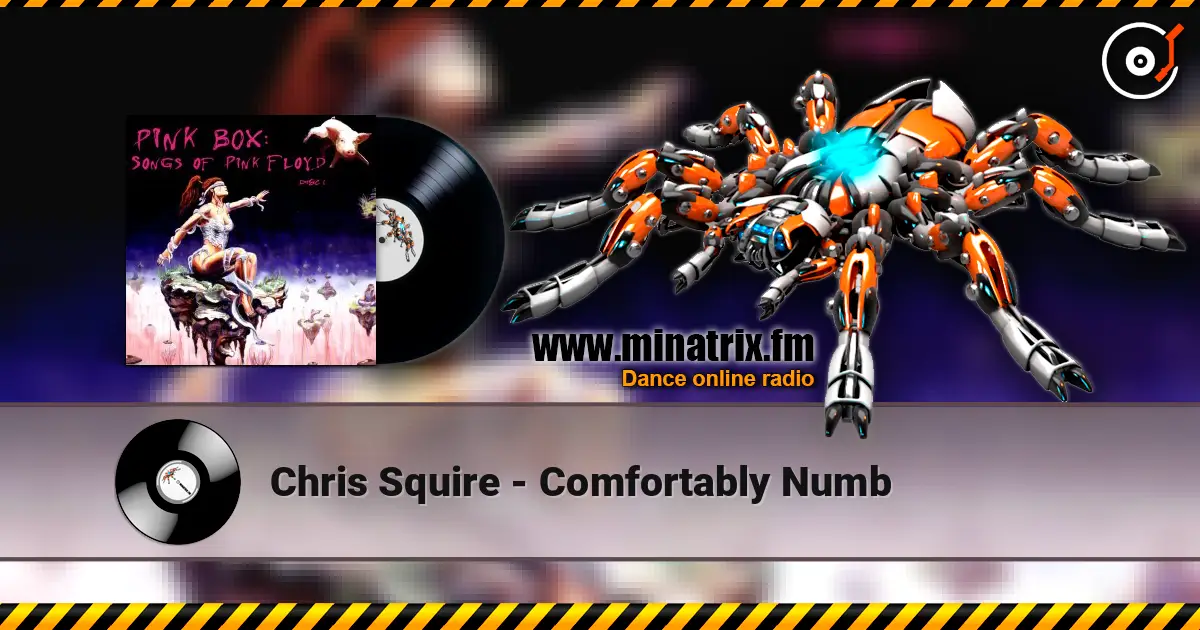Chris Squire - Comfortably Numb 高品质在线收听 | Minatrix.FM