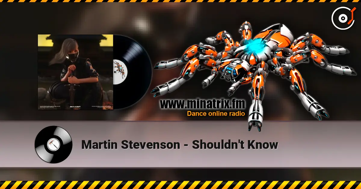 Martin Stevenson - Shouldn't Know 高品质在线收听 | Minatrix.FM