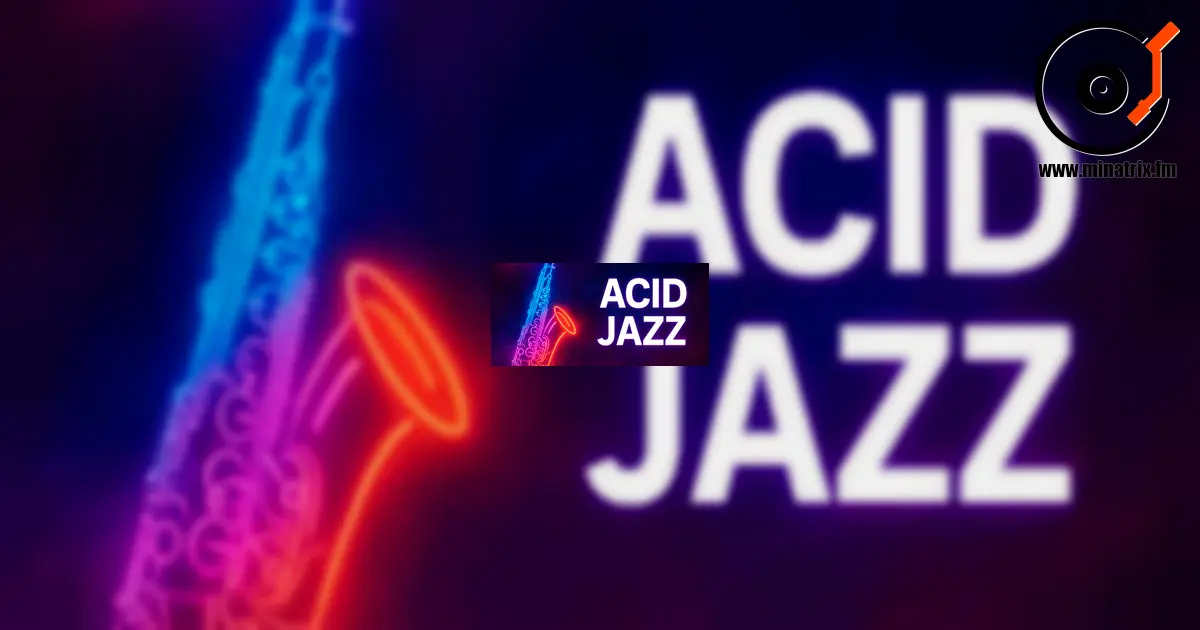 Acid Jazz（酸爵士）——一种融合爵士、放克与电子音乐的风格。