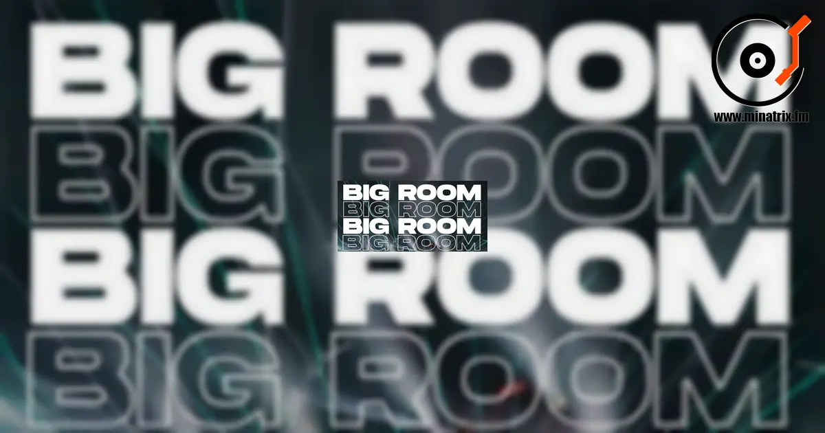 Big Room House 的历史：改变舞池的音乐流派