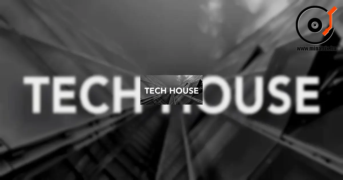 什么是 Tech House：特点、历史与流行度